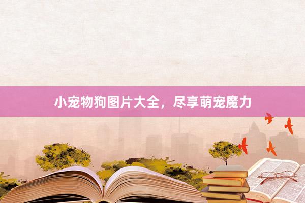 小宠物狗图片大全，尽享萌宠魔力