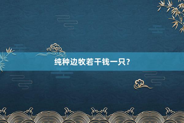 纯种边牧若干钱一只？