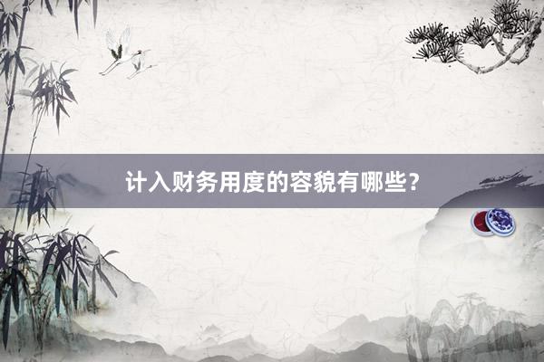 计入财务用度的容貌有哪些？
