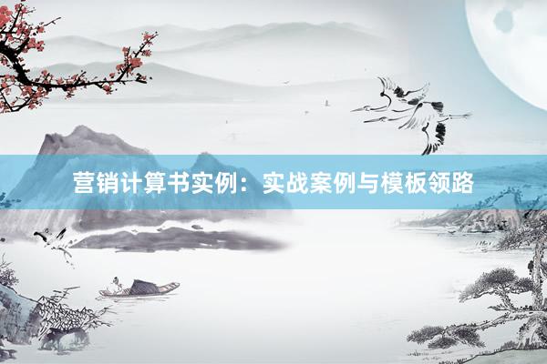 营销计算书实例：实战案例与模板领路